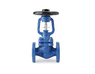 BSA Bellows Sealed Valve