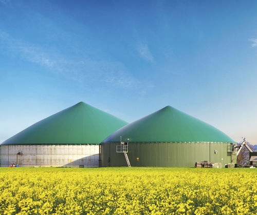 Biogasanlage im Rapsfeld